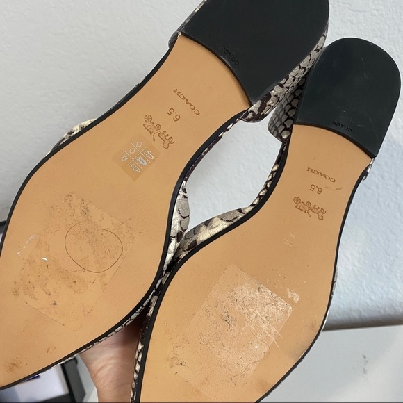 NWOT Coach Snakeskin Flats - Picture 6 of 7